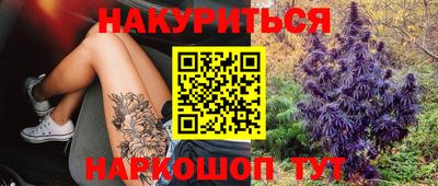 шишки Краснодар