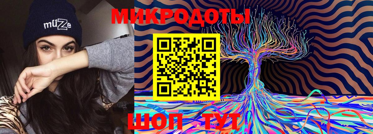 Псилоцибиновые грибы GOLDEN TEACHER  Вход с VPN  Камышин 