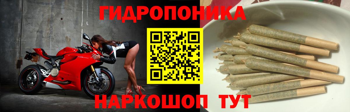 Канабис марихуана  Марихуана сатива  Бошки марихуана VHQ  Вход с VPN  Камышин 